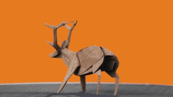 Deer figurine on orange background. — Stock Video