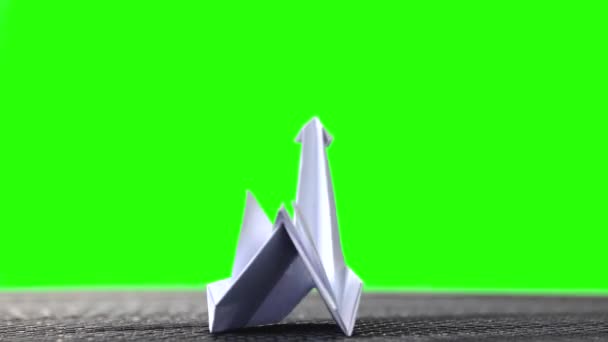 Livro branco origami cisne . — Vídeo de Stock