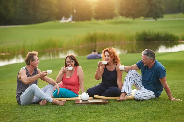 Dojrzałe osoby posiadające tea party na trawie. — Zdjęcie stockowe