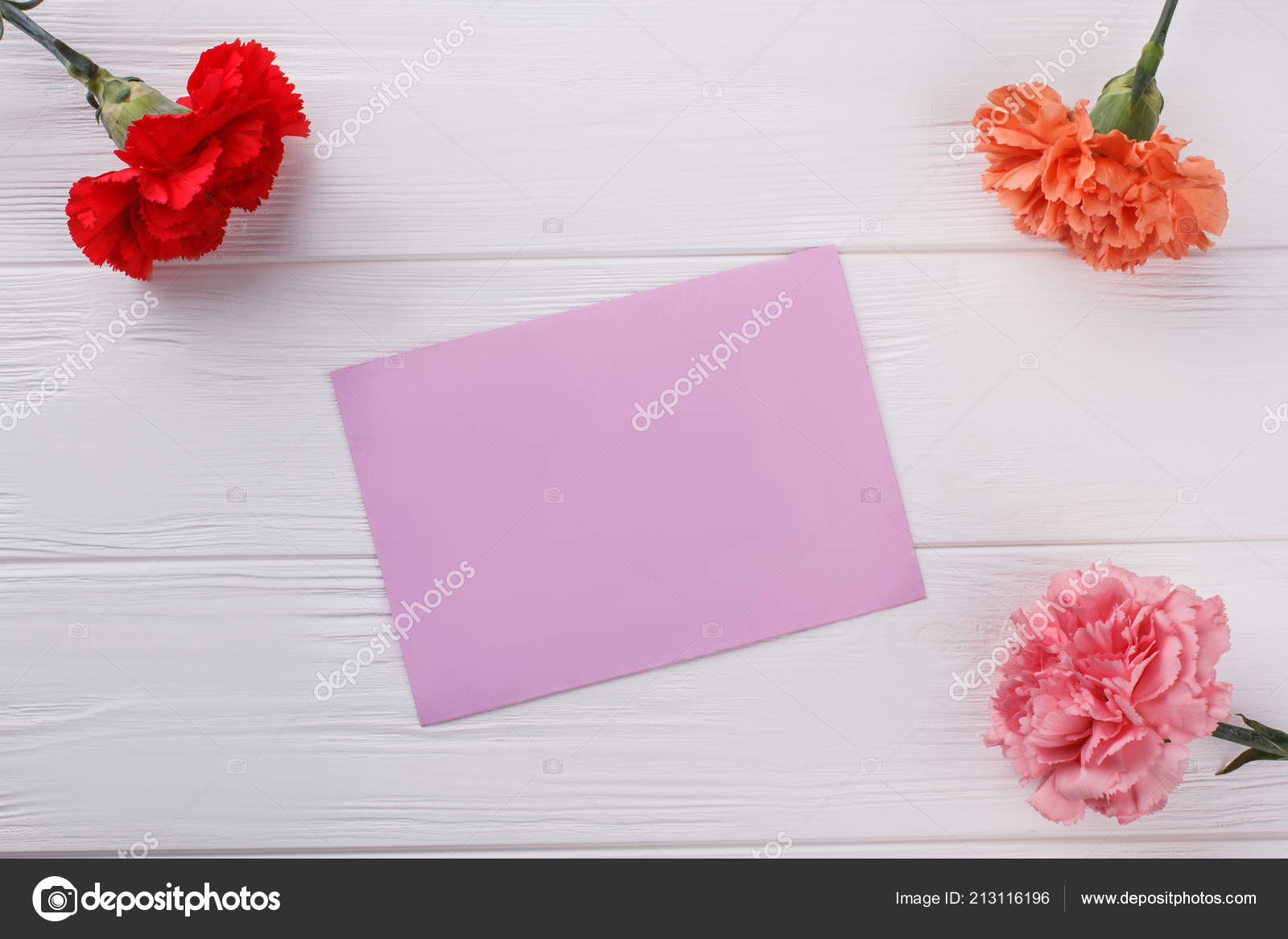 blank purple paper and carnation flowers stock photo denisfilm paper carnation flower