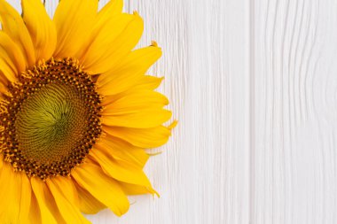 Ahşap üzerine sarı ayçiçeği yakın çekim.