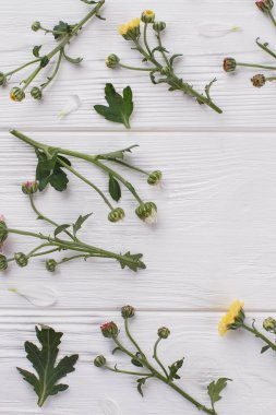 Beyaz tahta üzerinde olgunlaşmamış çiçek.