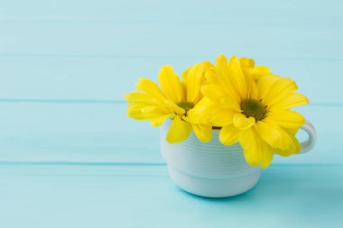 Beyaz çay Kupası'nda üç sarı papatya çiçeği.