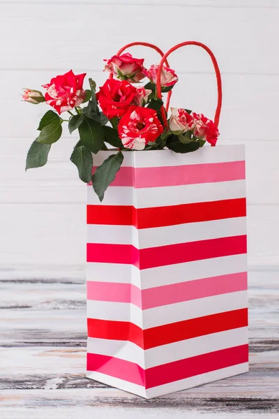 Цветы гибридных чайных роз в полосатой упаковке . — стоковое фото