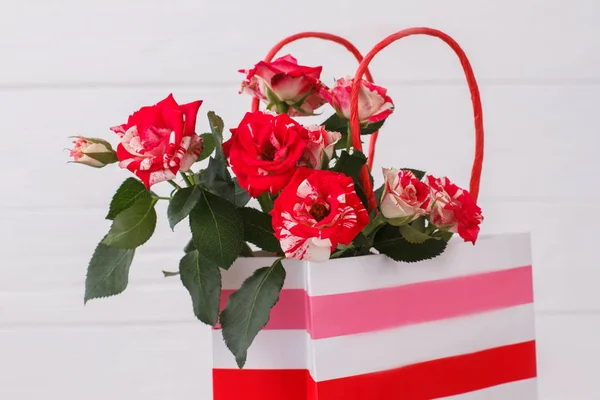 Flores híbridas rojas y blancas en paquete a rayas . — Foto de Stock