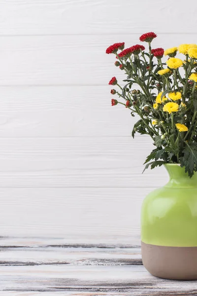 Çok renkli kasımpatı çiçekleri ve boşaltmak.