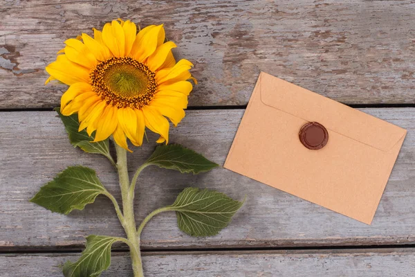 Sunflower and post mail with wax stamp.
