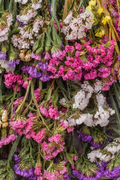 Textura de flores multicolores . — Foto de Stock