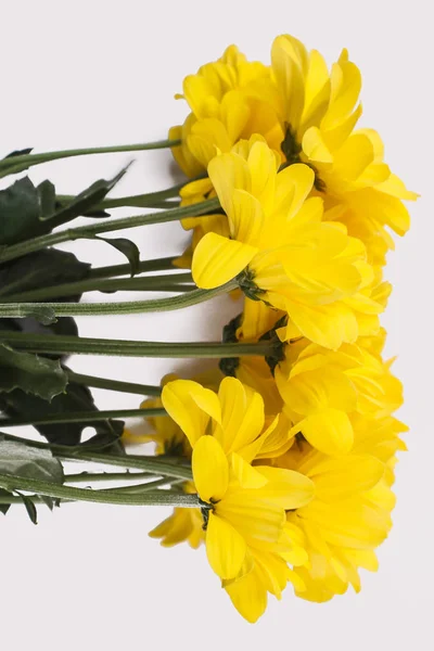 노란 sunchoke 꽃의 꽃다발. — 스톡 사진