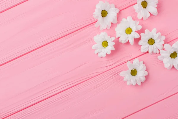 Margarita blanca arreglo de flores de manzanilla en madera rosa . — Foto de Stock