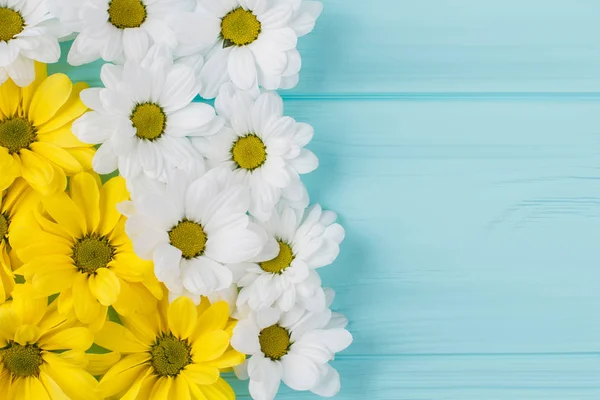 Composition des fleurs de camomille blanche et jaune . — Photo