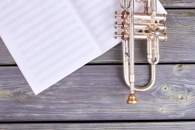 Ahşap arka plan üzerinde eski müzik aleti.