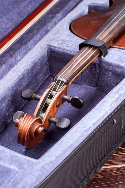 Velvet case with old viola instrument.