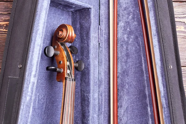 Скрипка в бархатном корпусе . — стоковое фото