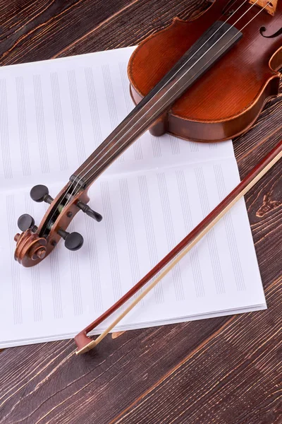 Violin and music notes book, vertical image.