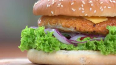 Tavuk burger ve patates kızartması makro.