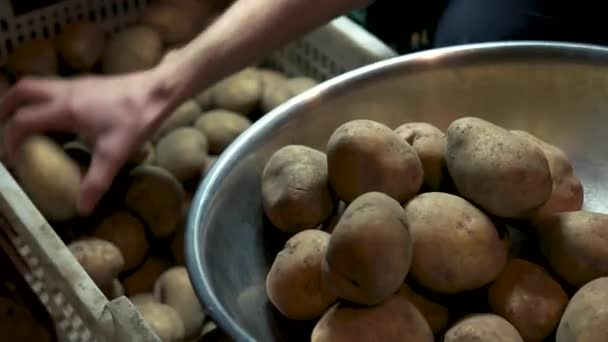 Råpotatis på nära håll. — Stockvideo