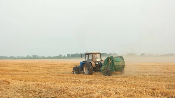 Tracktor in een geel veld. — Stockfoto