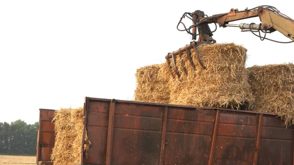 Tracteur ramassant des balles de paille gros plan . — Photo