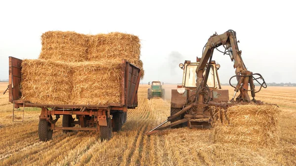 Mesin traktor untuk memanen tumpukan jerami bulat . — Stok Foto