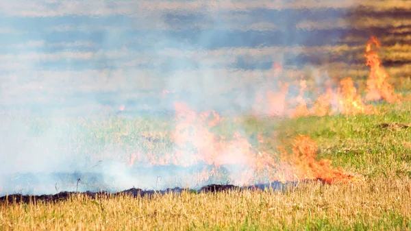Спалювання трава штучна . — стокове фото