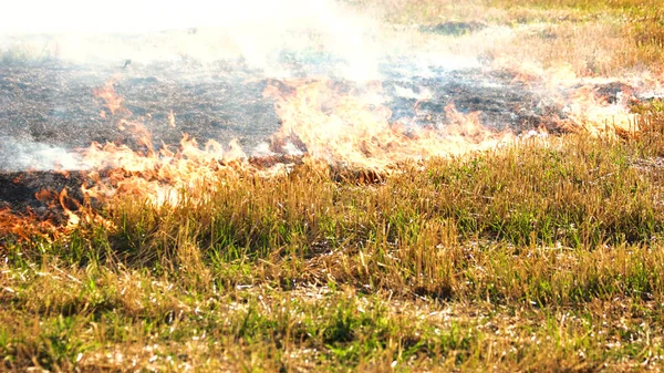 Розтягування вогню на траві . — стокове фото