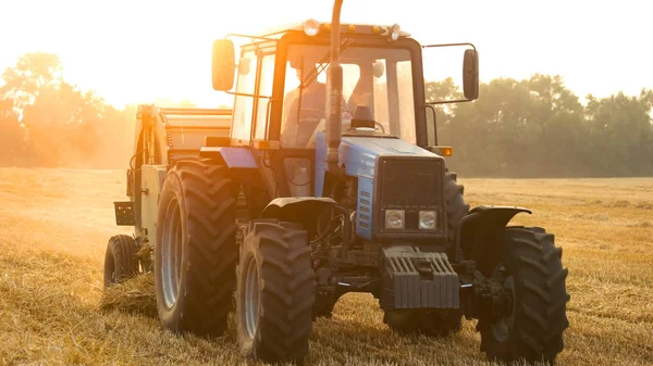 Фермер Тракторном Поле Вечернее Время Синий Трактор Вечернее Солнце — стоковое фото