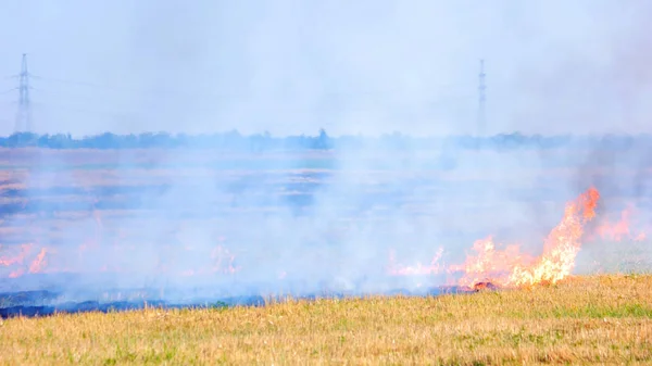 Dry field fire burning.