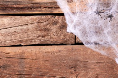 Dekoratif ürpertici web ve örümcekler.