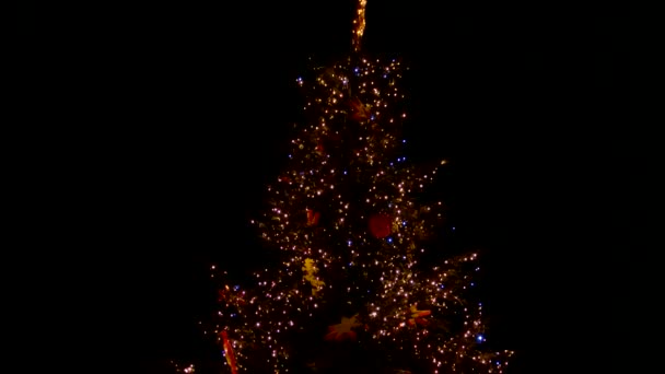 Dev Noel ağacı ışıkları, yıldız ve oyuncaklar ile dekore edilmiş. — Stok video