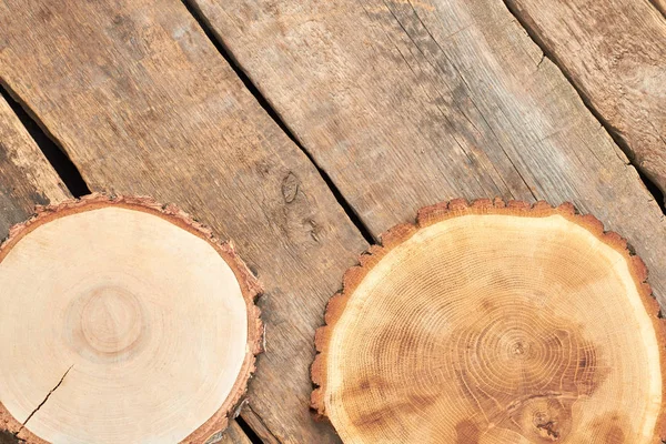 Baumscheiben auf Holzbrettern. — Stockfoto