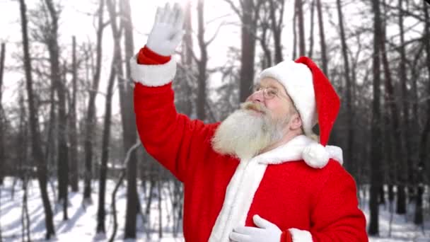 Weihnachtsmann winkt mit der Hand in den Himmel. — Stockvideo