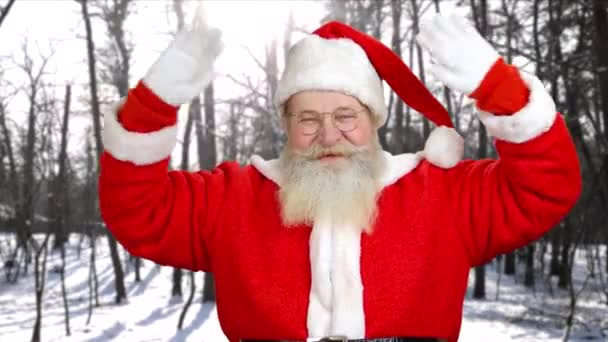 Portrét autentické Santa Claus mávat rukama. — Stock video