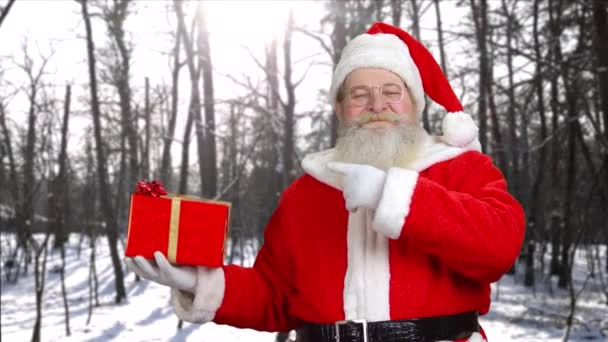 Leende jultomten med röd presentbox. — Stockvideo
