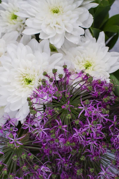 关闭白色和紫色的花朵. — 图库照片