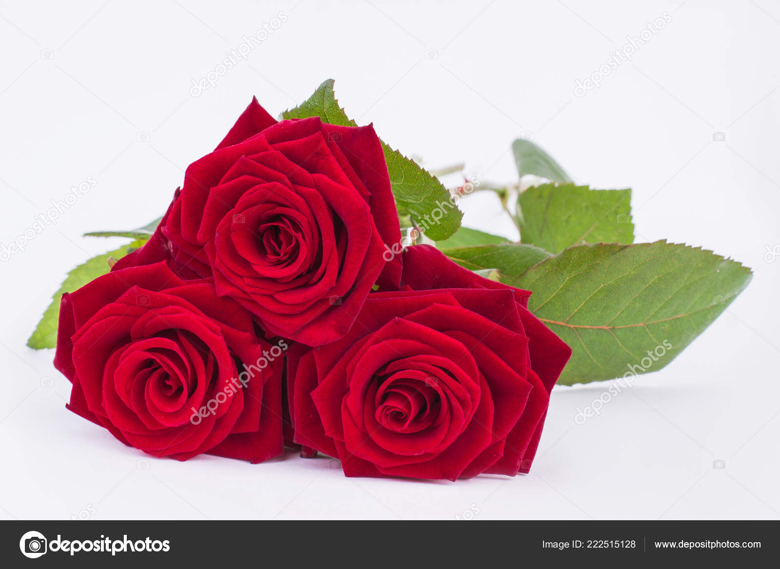 Three red roses on white background. — Stock Photo © Denisfilm #222515128