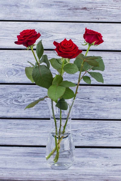 Rosas vermelhas em vaso transparente de vidro . — Fotografia de Stock