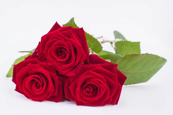 Three red roses on white background.