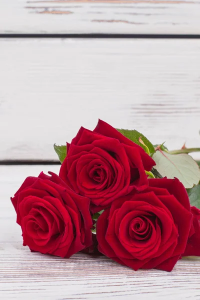 Три красных розы и пространство для копирования . — стоковое фото