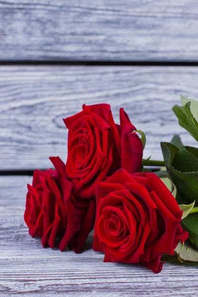 Lindas rosas vermelhas com espaço de cópia . — Fotografia de Stock