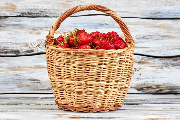 Frische Bio-Erdbeeren im Korb. — Stockfoto