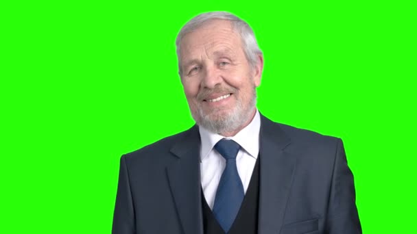 Ältere flirtende Geschäftsleute, Green Screen. — Stockvideo