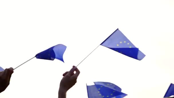 Gruppo di patrioti sventolando bandiere dell'Unione europea . — Video Stock