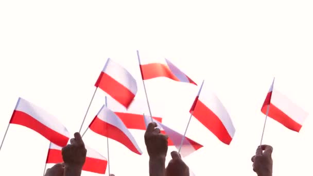 Patrióticos polacos portando banderas al aire libre . — Vídeos de Stock