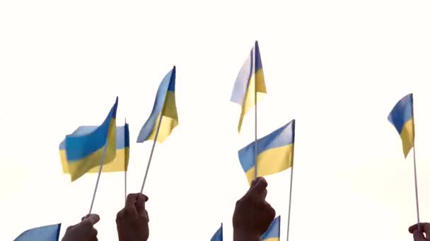 Pessoas segurando bandeiras ucranianas, visão traseira . — Vídeo de Stock