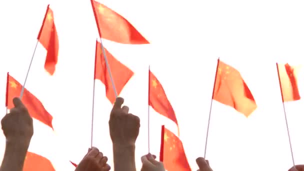 Sluiten handen houden vlaggen van porselein. — Stockvideo