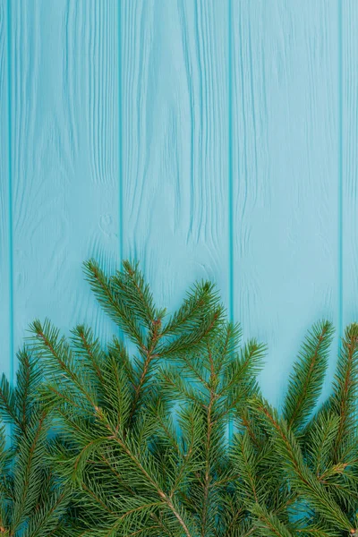 Ramoscelli di abete sempreverde su sfondo di legno blu . — Foto Stock
