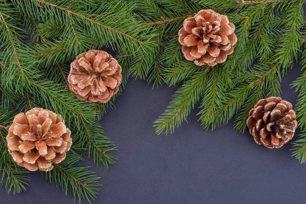 Winter border from spruce and pine cones.