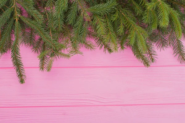 Ramas frescas del árbol de Navidad . — Foto de Stock