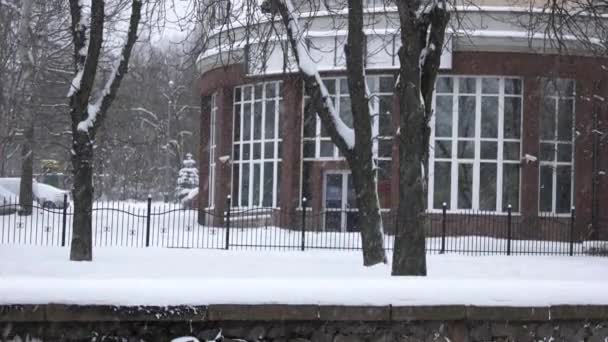 Caduta della neve in città . — Video Stock